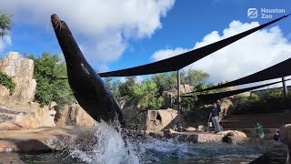 Splash into summer