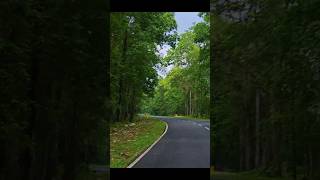“গন্তব্য যখন পাহাড়, আর যাত্রাপথ জঙ্গল" - #selfdriving #naturelovers #chapramari #northbengal