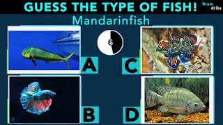 Guess the Types of Fish !? | Species Quiz #2