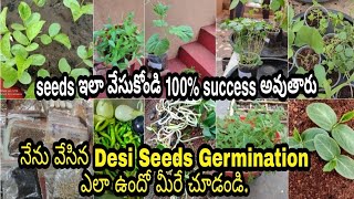 Desi seeds germination process  #desiseeds 9618668440