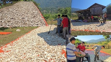 Zoo siab heev tsuav qos tag lawm os 