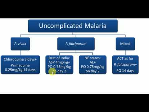 malaria psm