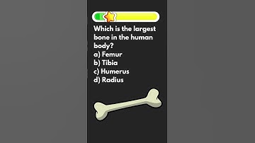 How smart are you?#quizgame #quiz #triviatricks #riddles #mindbendingquiz #games #puzzle#braingames