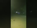 البدق البوري معلم حجوج