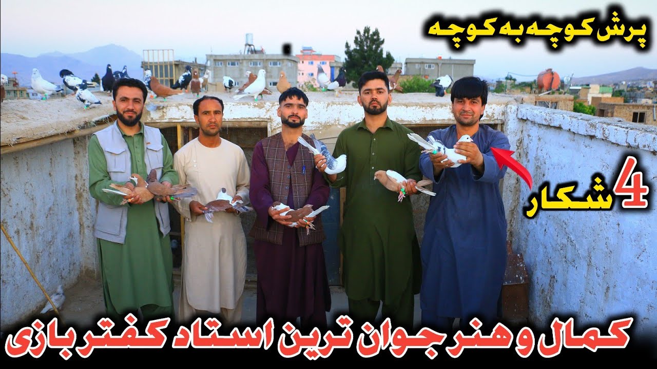 4 охоты | Камал Ванер, самый молодой мастер голубей в игре «Четырехсторонняя земля» | Голуби прыг...