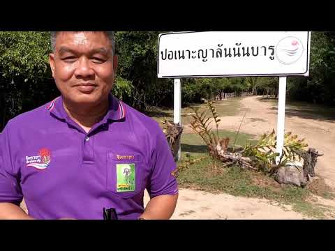รายงานพิเศษ ศาสนาบำบัดยาเสพติด