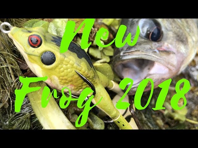 Lunkerhunt Prop Frog and Bass action review (NEW TOPWATER LURE 2018) 