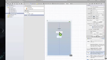 xcelMe.com Objective-C Introducing Conditional Logic Part -1