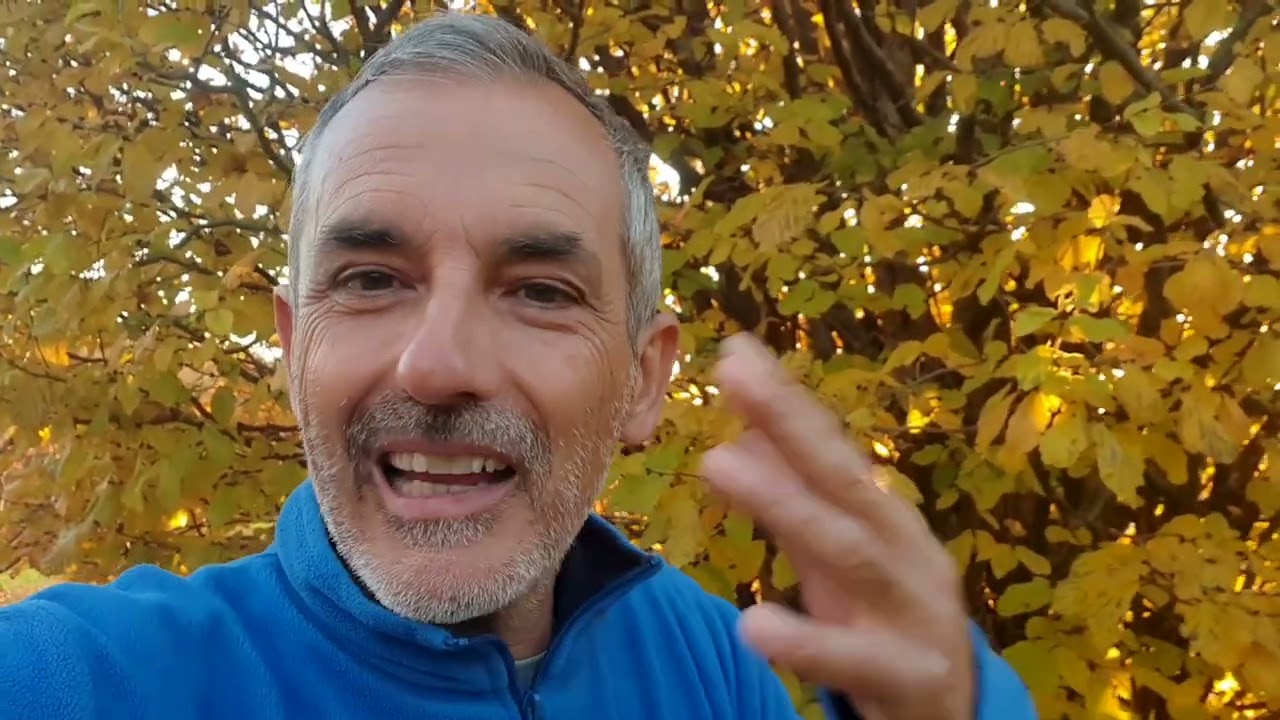 Piante coloratissime? Ecco la parrotia persica!