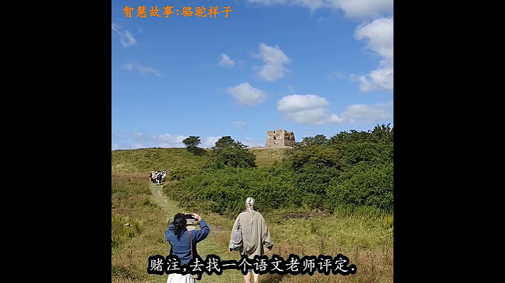 骆驼样子