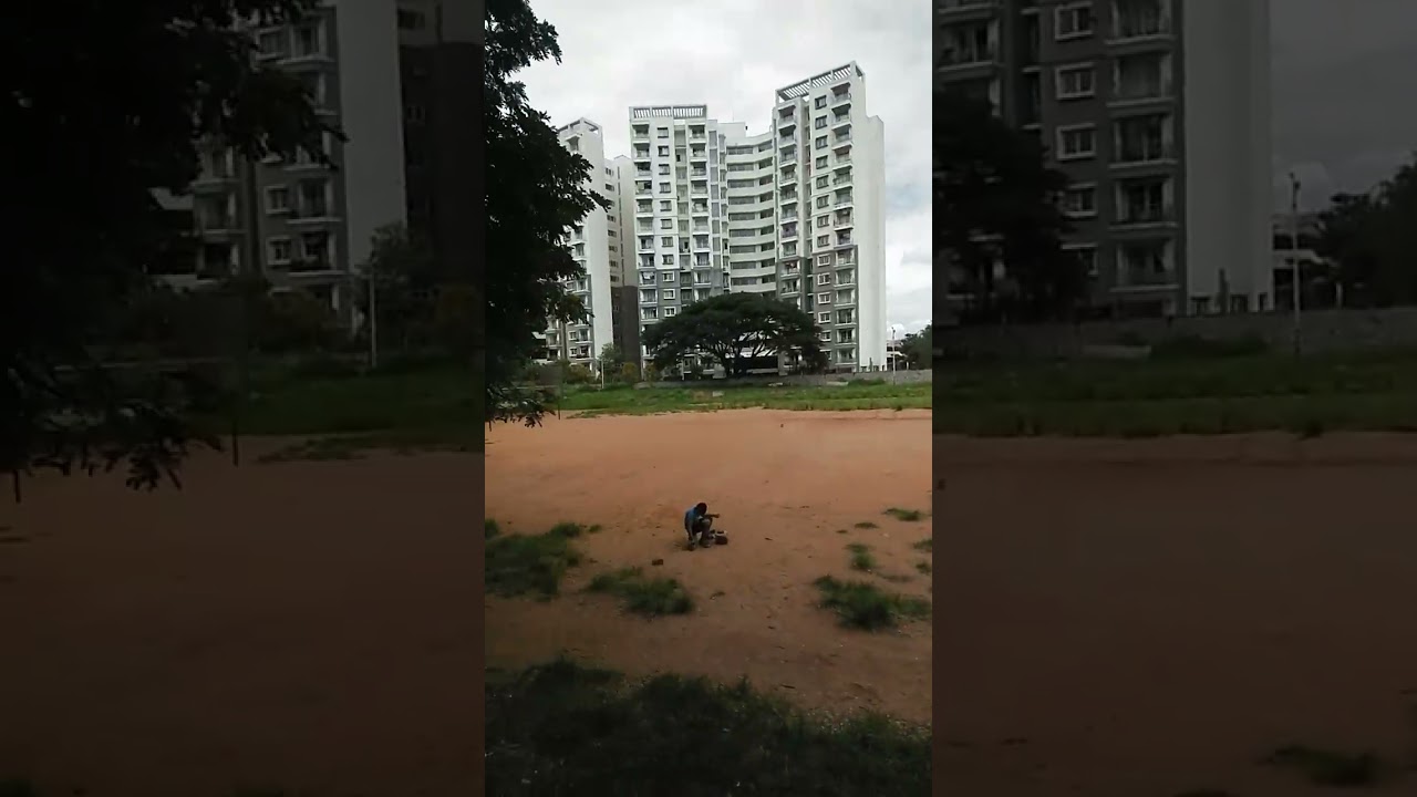 What is definition of Anti - social elements??