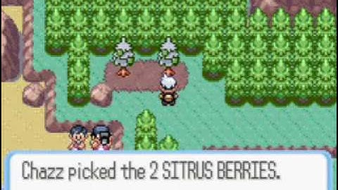Pokemon Ruby Walkthrough Part 33