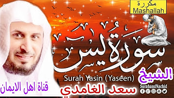 سورة يس كاملة مكررة بصوت اكثر من رائع الشيخ سعد الغامديsurat yasin mukarar alshaykh saed alghamidi