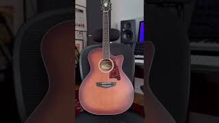 New Premier Series acoustics for 2024! Click the related video to learn more. #NAMMshow #NAMM