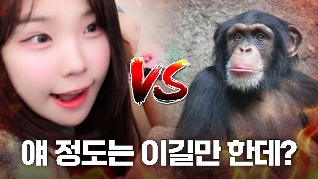 근데 이 사람은 왜 자꾸 동물들이랑 싸우려는 거임?