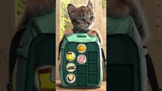 CUTE KITTEN WITH BACKPACK!