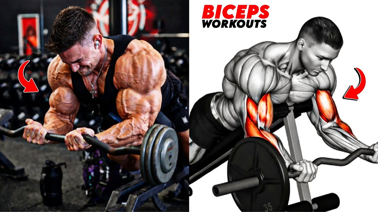 8 мощных упражнений для бицепсов для достижения максимального размера, рельефа и силы рук 💪