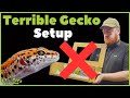 Rescuing a Leopard Gecko: Rehab &amp; Rehoming After a Bad Setup