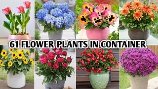 61 Best Flower Plants in Container | Flower Plant Types to grow in Pots | Plant and Planting