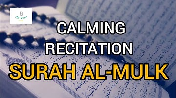 SURAH AL-MULK سورة الملك | Salim Bahanan