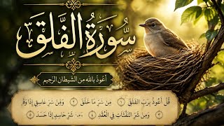 Surah falq shaikh Noreen muhmmad saddique
