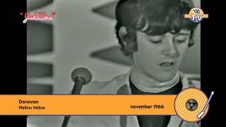 Video thumbnail of "Donovan - Mellow Yellow (1966)"