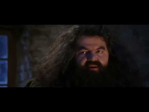 Video: Dov'è la bacchetta di Hagrid?