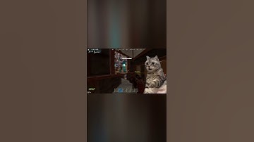 MY CHEAKS?!?!?!? #gaming #funny #rust #anotherbrickinthewall #rustbeginners #memes #rustgame