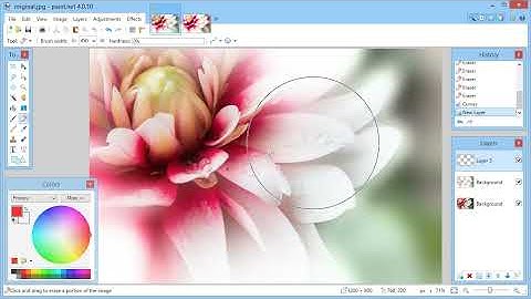Paint.NET Tutorial - Soft painting photo effect