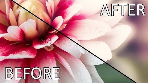 Paint.NET Tutorial - Soft painting photo effect