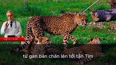 Đàn ông trên 60 tuổi: Chỉ cần chạm vào điểm bí mật này trước khi quan hệ để cương cứng như đá