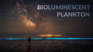 Bioluminescent Plankton in Wales is a MUSTSEE!