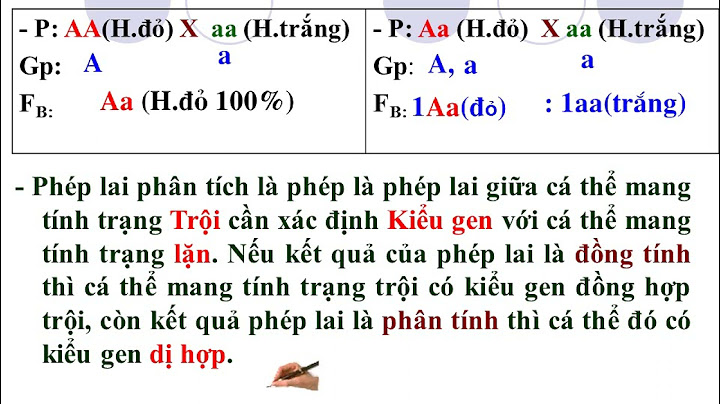 Giải bài tập sinh lớp 9 bài 3