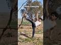 Incredible Teakwondo 😱💥#viral #short