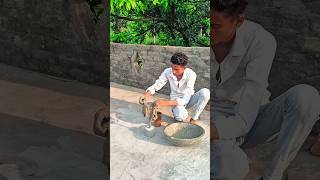 Gamla (part 2)