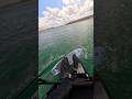 Primo Cornish off shore waves #gopro #pov #wingfoil #foil