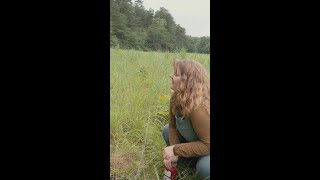 In Plain Sight Teaser