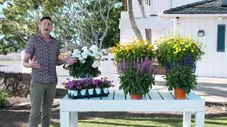 2021 New Varieties: Perennials News