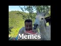 MEMES QUE TE HARÁN SONREIR :)
