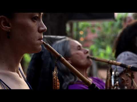 O Feitio da Ayahuasca