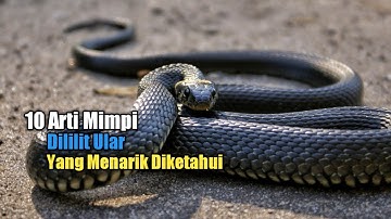 10 Arti Mimpi Dililit Ular yang Menarik Diketahui