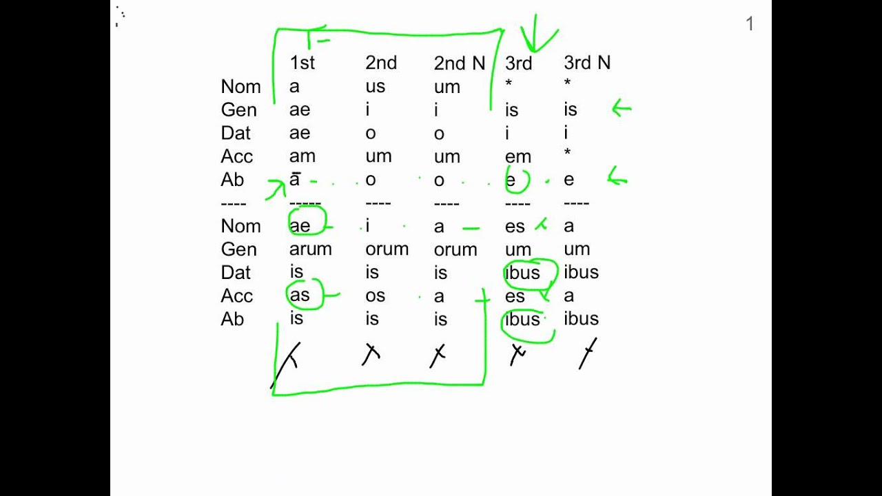 Latin Adjective Endings Chart