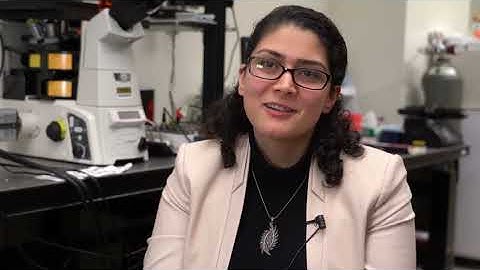 How are microbes attracted to an oil spill?