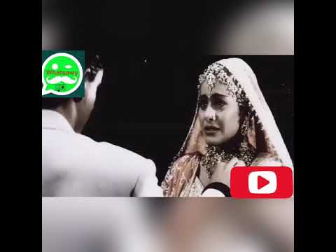 حالات واتساب مصطفي حجاج اعنيه متدعيش عليا حالات واتس اب حزينه من واتساوي