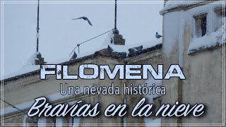 FILOMENA❄️❄️❄️  Una nevada histórica☃️☃️ Bravías en la nieve🇪🇸