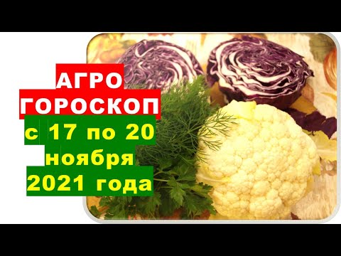 Agrohoroskopas 2021-11-17-20