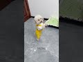 Lilli S Love With Mom рџђ Lilli S Love With Mom рџђ