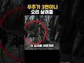 탄환이 막혀서 살 수 있었던 오리