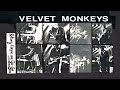 The velvet monkeys  cant buy me love