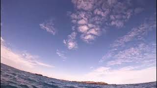 Dampier Archipelago Spearfishing June 2024 Part 3